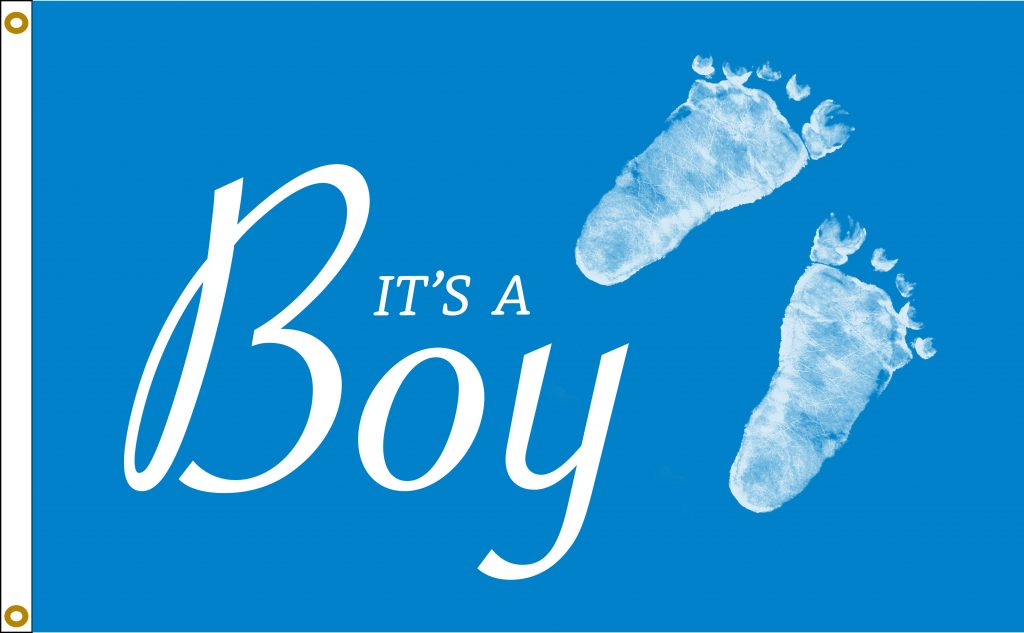 It S A Boy 3x5 Brandy Wine Flags   FlagSource ITSABOY 685 1024x633 